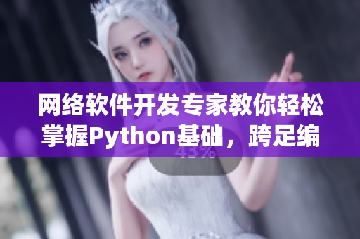 网络软件开发专家教你轻松掌握Python基础，跨足编程新领域！