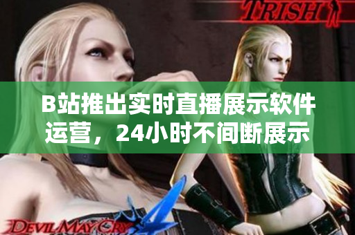 B站推出实时直播展示软件运营，24小时不间断展示网络软件技术细节