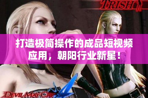 打造极简操作的成品短视频应用，朝阳行业新星！