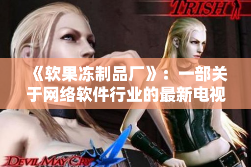 《软果冻制品厂》：一部关于网络软件行业的最新电视剧