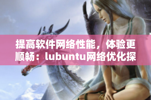 提高软件网络性能，体验更顺畅：lubuntu网络优化探究