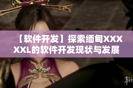 【软件开发】探索缅甸XXXXXL的软件开发现状与发展趋势