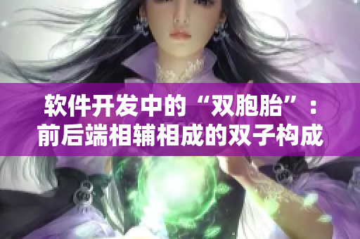 软件开发中的“双胞胎”：前后端相辅相成的双子构成
