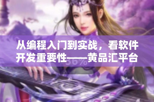 从编程入门到实战，看软件开发重要性——黄品汇平台推荐方案