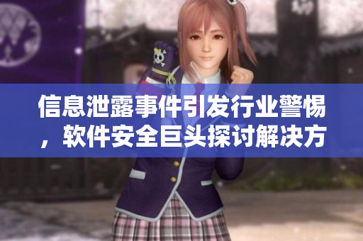 信息泄露事件引发行业警惕，软件安全巨头探讨解决方案