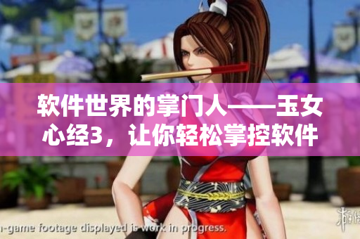 软件世界的掌门人——玉女心经3，让你轻松掌控软件江湖