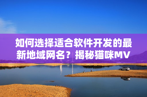如何选择适合软件开发的最新地域网名？揭秘猫咪MV背后的命名技巧