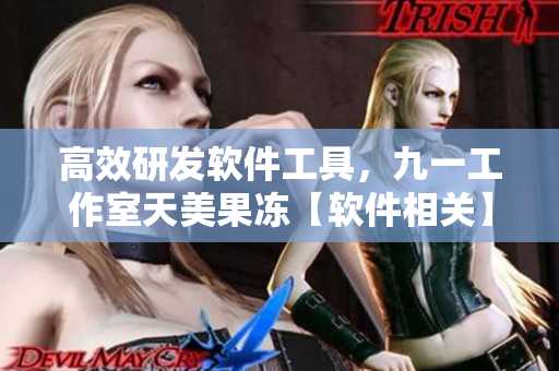 高效研发软件工具，九一工作室天美果冻【软件相关】