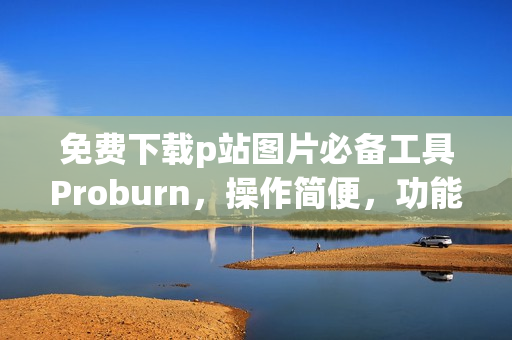免费下载p站图片必备工具Proburn，操作简便，功能实用