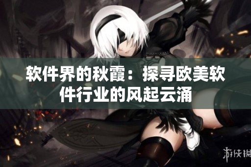 软件界的秋霞：探寻欧美软件行业的风起云涌