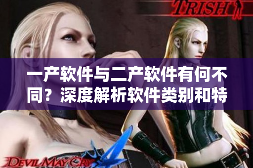 一产软件与二产软件有何不同？深度解析软件类别和特点