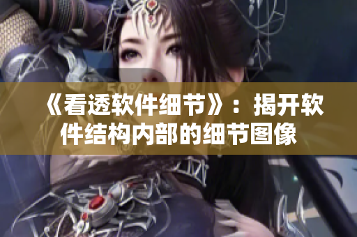 《看透软件细节》：揭开软件结构内部的细节图像