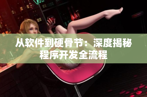 从软件到硬骨节：深度揭秘程序开发全流程