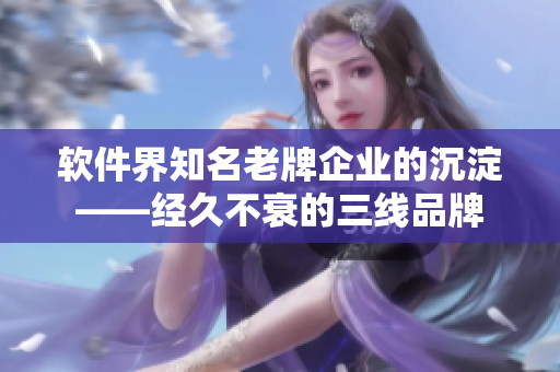 软件界知名老牌企业的沉淀——经久不衰的三线品牌