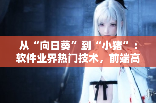 从“向日葵”到“小猪”：软件业界热门技术，前端高级开发必备！