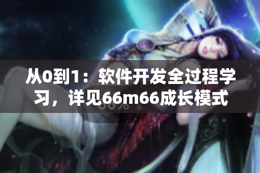 从0到1：软件开发全过程学习，详见66m66成长模式视频-大陆4