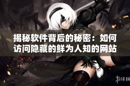 揭秘软件背后的秘密：如何访问隐藏的鲜为人知的网站