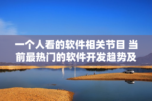 一个人看的软件相关节目 当前最热门的软件开发趋势及技术讨论