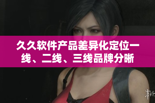 久久软件产品差异化定位一线、二线、三线品牌分晰