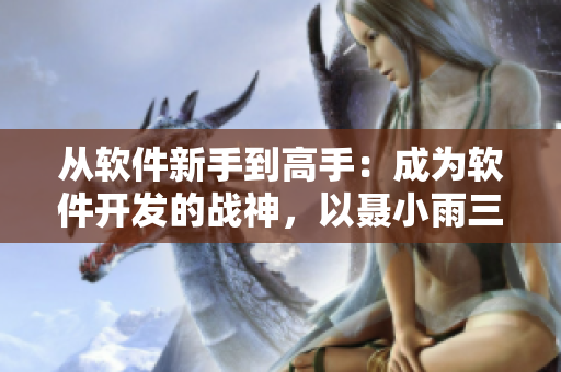 从软件新手到高手：成为软件开发的战神，以聂小雨三部曲为例