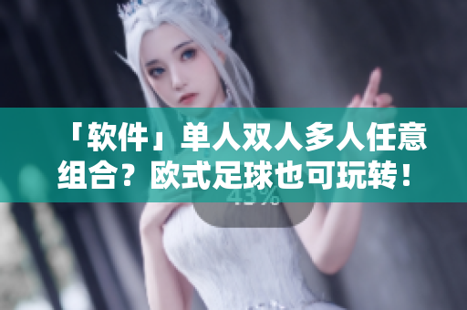 「软件」单人双人多人任意组合？欧式足球也可玩转！