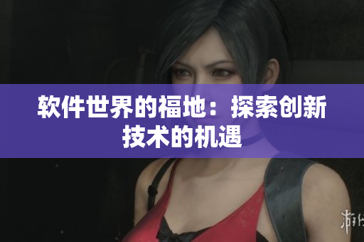 软件世界的福地：探索创新技术的机遇
