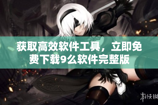 获取高效软件工具，立即免费下载9么软件完整版