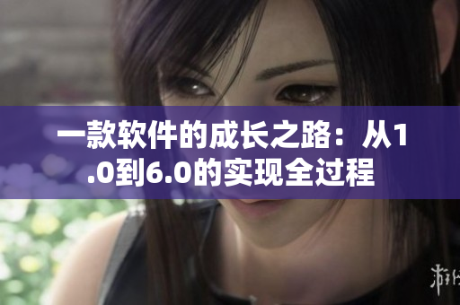 一款软件的成长之路：从1.0到6.0的实现全过程