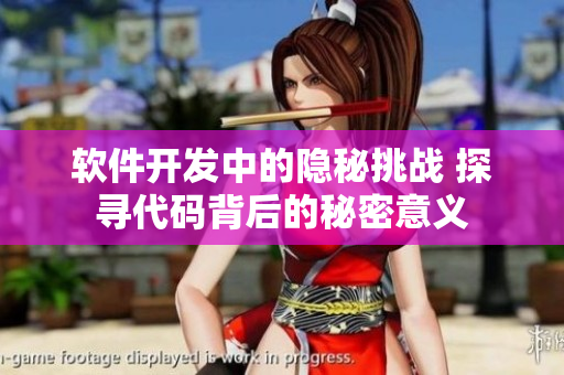 软件开发中的隐秘挑战 探寻代码背后的秘密意义