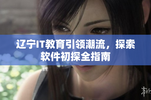 辽宁IT教育引领潮流，探索软件初探全指南