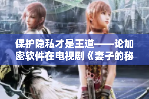 保护隐私才是王道——论加密软件在电视剧《妻子的秘密》中的作用