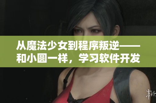 从魔法少女到程序叛逆——和小圆一样，学习软件开发的挑战之路
