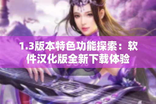 1.3版本特色功能探索：软件汉化版全新下载体验