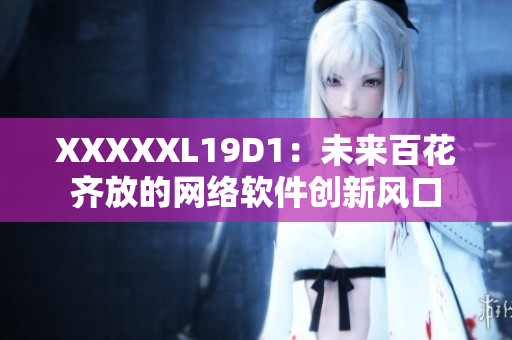 XXXXXL19D1：未来百花齐放的网络软件创新风口