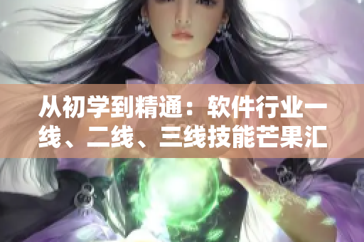 从初学到精通：软件行业一线、二线、三线技能芒果汇总