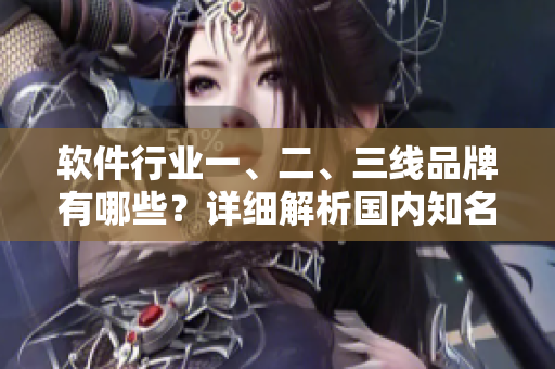 软件行业一、二、三线品牌有哪些？详细解析国内知名软件企业排名