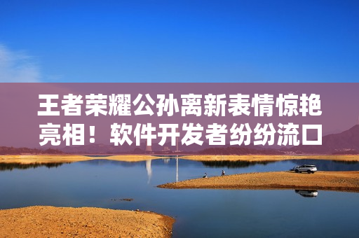 王者荣耀公孙离新表情惊艳亮相！软件开发者纷纷流口水，快来看看！