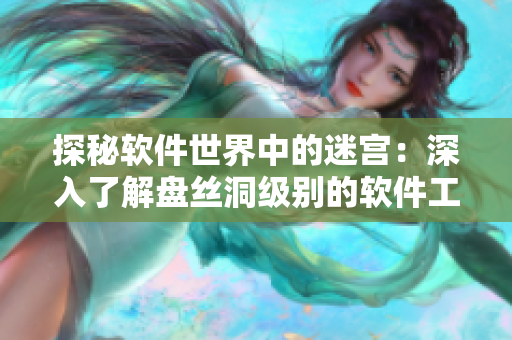 探秘软件世界中的迷宫：深入了解盘丝洞级别的软件工程