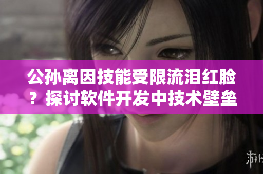 公孙离因技能受限流泪红脸？探讨软件开发中技术壁垒问题！