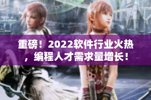 重磅！2022软件行业火热，编程人才需求量增长！
