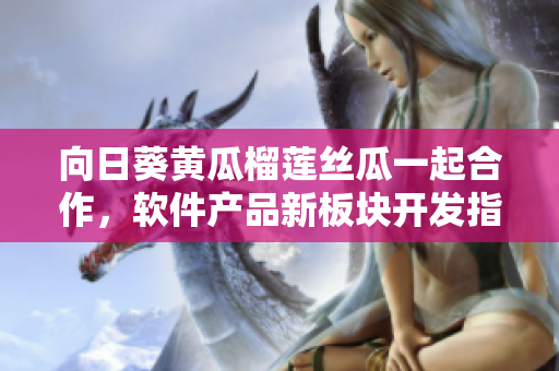 向日葵黄瓜榴莲丝瓜一起合作，软件产品新板块开发指导