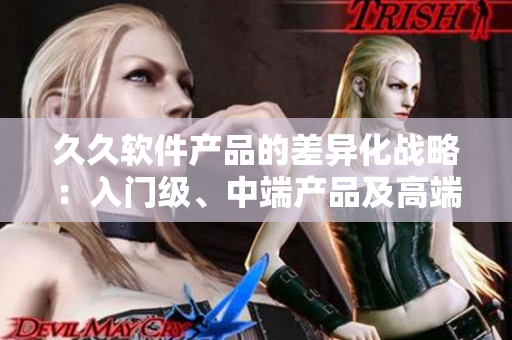 久久软件产品的差异化战略：入门级、中端产品及高端产品介绍