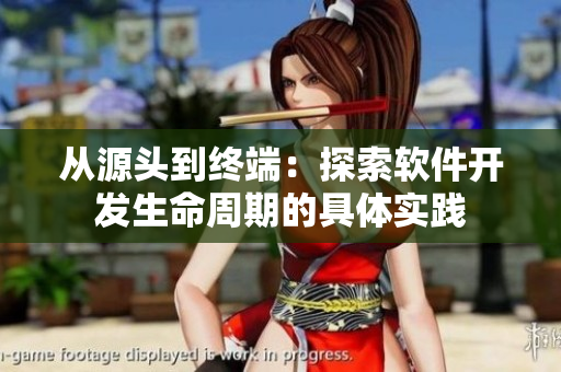 从源头到终端：探索软件开发生命周期的具体实践