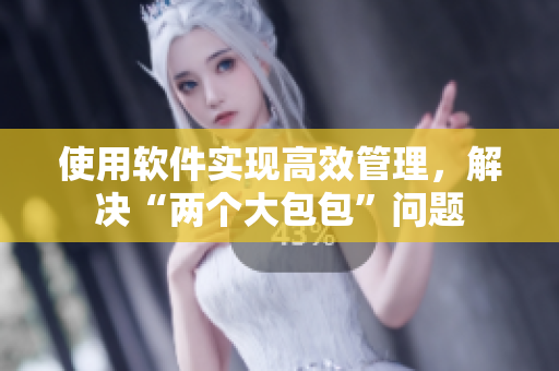 使用软件实现高效管理，解决“两个大包包”问题