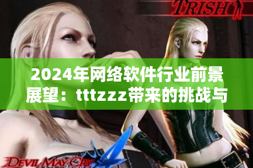 2024年网络软件行业前景展望：tttzzz带来的挑战与机遇