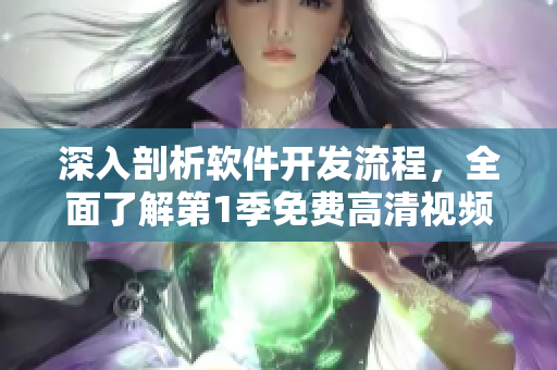 深入剖析软件开发流程，全面了解第1季免费高清视频教程