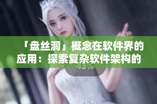 「盘丝洞」概念在软件界的应用：探索复杂软件架构的优化策略