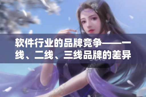 软件行业的品牌竞争——一线、二线、三线品牌的差异分析