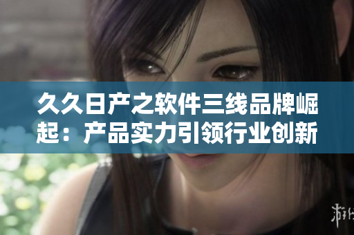 久久日产之软件三线品牌崛起：产品实力引领行业创新