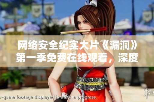 网络安全纪实大片《漏洞》第一季免费在线观看，深度揭秘软件漏洞背后的故事